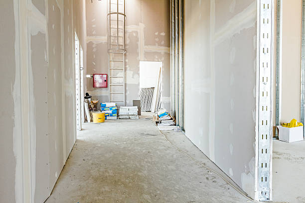 Best Mold Remediation for Healthcare Facilities  in Reading, MI