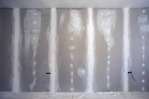 Best Black Mold Removal  in Reading, MI